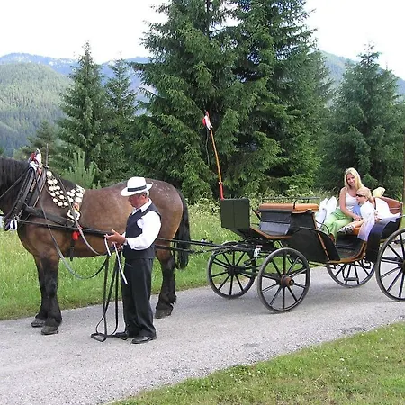 Puchatka Piechowice (Karkonosze)