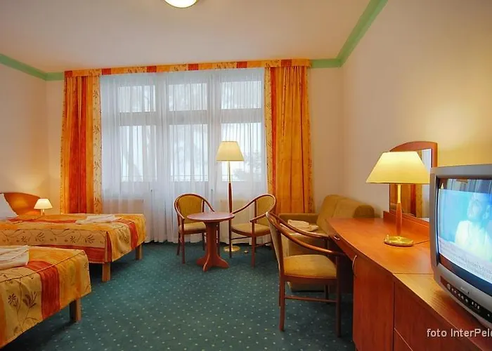 Bed & Breakfast Puchatka Piechowice (Karkonosze)