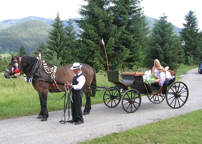 Puchatka Piechowice (Karkonosze)